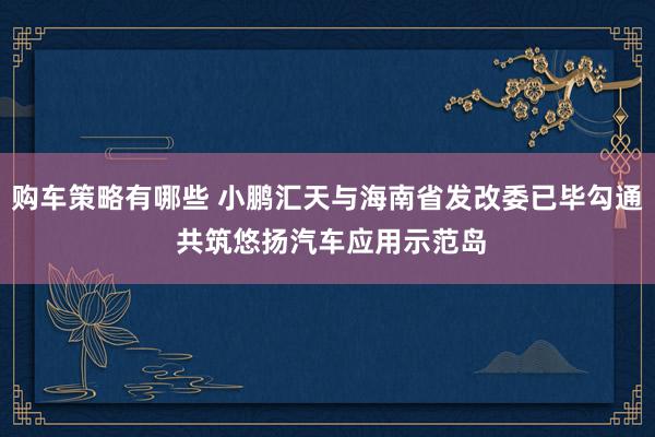 购车策略有哪些 小鹏汇天与海南省发改委已毕勾通 共筑悠扬汽车应用示范岛