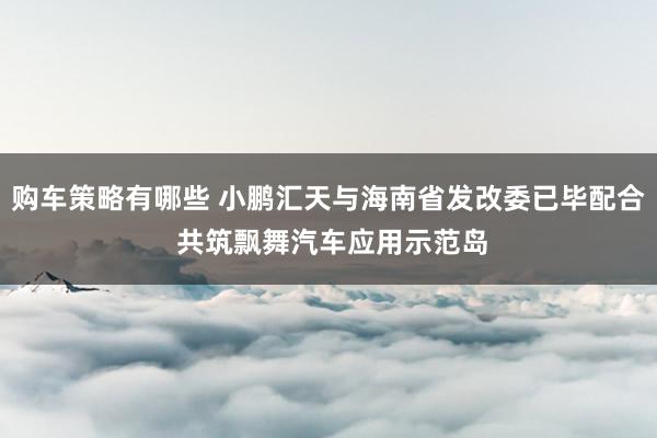 购车策略有哪些 小鹏汇天与海南省发改委已毕配合 共筑飘舞汽车应用示范岛