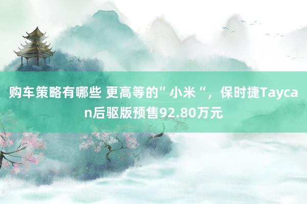 购车策略有哪些 更高等的”小米“，保时捷Taycan后驱版预售92.80万元