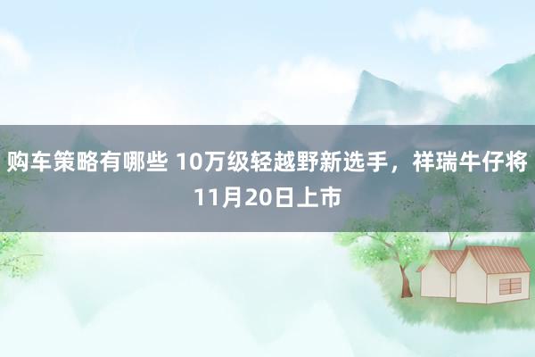 购车策略有哪些 10万级轻越野新选手，祥瑞牛仔将11月20日上市