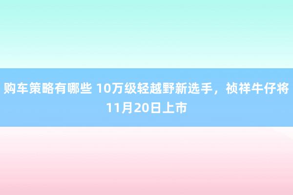 购车策略有哪些 10万级轻越野新选手，祯祥牛仔将11月20日上市