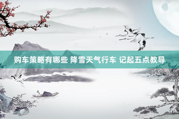 购车策略有哪些 降雪天气行车 记起五点教导