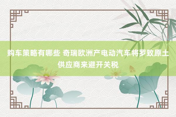 购车策略有哪些 奇瑞欧洲产电动汽车将罗致原土供应商来避开关税