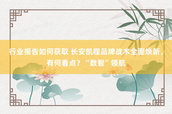 行业报告如何获取 长安凯程品牌战术全面焕新，有何看点？“数智”领航