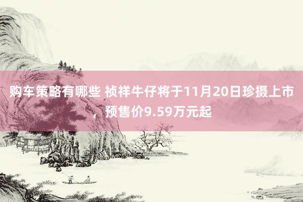 购车策略有哪些 祯祥牛仔将于11月20日珍摄上市，预售价9.59万元起