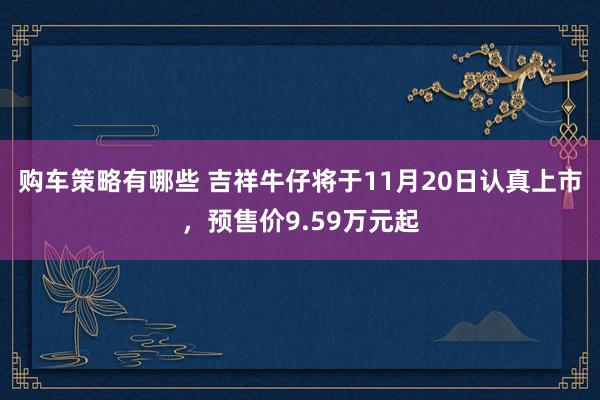 购车策略有哪些 吉祥牛仔将于11月20日认真上市，预售价9.59万元起