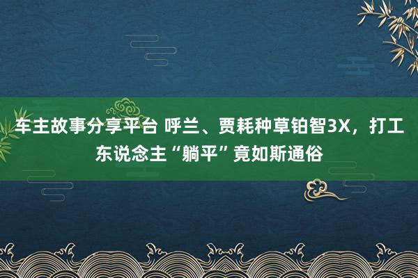 车主故事分享平台 呼兰、贾耗种草铂智3X，打工东说念主“躺平”竟如斯通俗