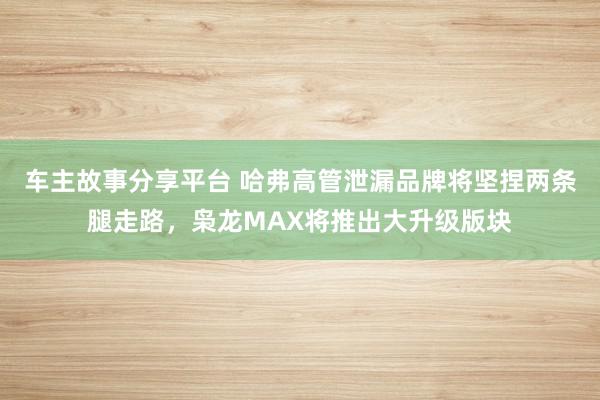 车主故事分享平台 哈弗高管泄漏品牌将坚捏两条腿走路，枭龙MAX将推出大升级版块